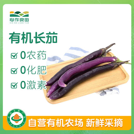 有机长茄 500g 商品图1