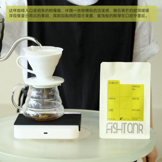 肯尼亚 芒果好芒 日晒 浅烘焙手冲咖啡豆 商品图2