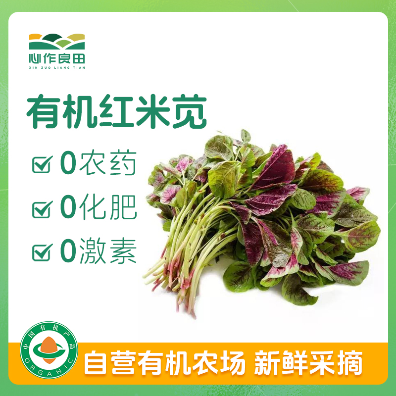 有机红米苋 500g
