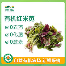 有机红米苋 500g