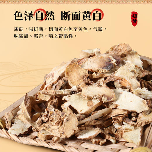 康美药业知母100g/瓶 康美中药饮片罐装 商品图1