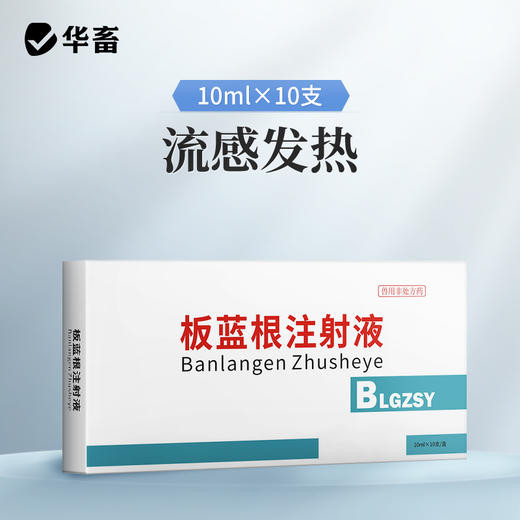 【社群专享】板蓝根注射液10ml*10支 感冒流感退烧抗病毒 猪牛羊药 华畜 商品图1