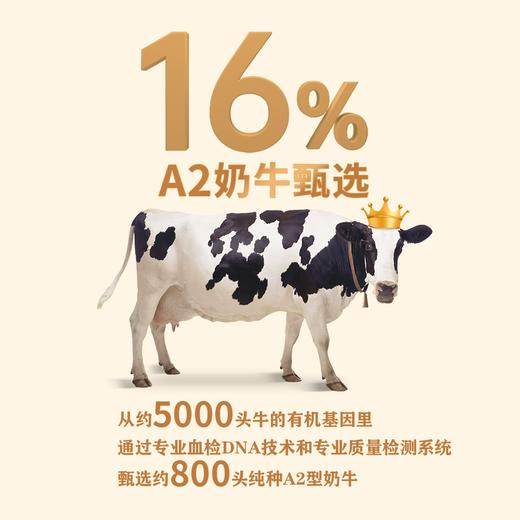 【爆品来袭】200ml*10圣牧有机A2β-酪蛋白纯牛奶 健康轻负担 补充好营养 商品图3