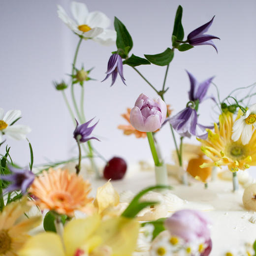 「卓卓高」TableCake｜「一室一隅皆风景」荔枝葡萄味圆桌糕 商品图7
