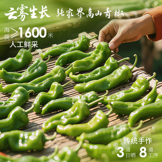 黑色经典老坛晒辣椒308g/罐 商品图2