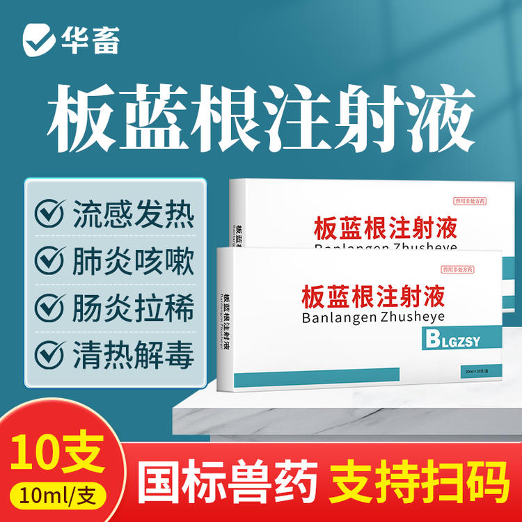 【社群专享】板蓝根注射液10ml*10支 感冒流感退烧抗病毒 猪牛羊药 华畜