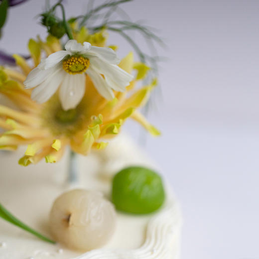 「卓卓高」TableCake｜「一室一隅皆风景」荔枝葡萄味圆桌糕 商品图8