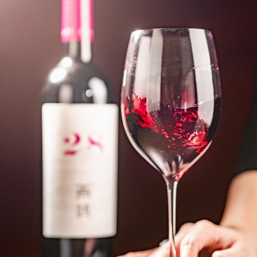 宁夏西鸽酒庄-N.28（马尔贝克）干红葡萄酒750ml单瓶装 商品图2
