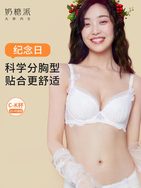 纪念日分胸型文胸舒适聚拢上托包容稳定大胸内衣女