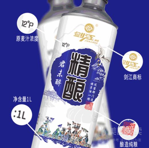 剑江啤酒精酿12度1L 商品图0