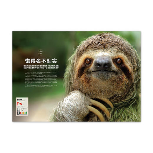 动物志·第二辑《亲密关系》《风采亚洲》《比人更聪明》《极致绚烂》纸上动物世界 万物有灵 生生不息  读库 商品图7