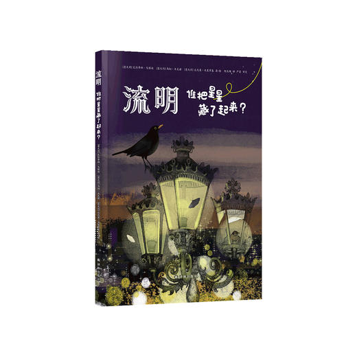 《流明：谁把星星藏了起来？》 商品图0