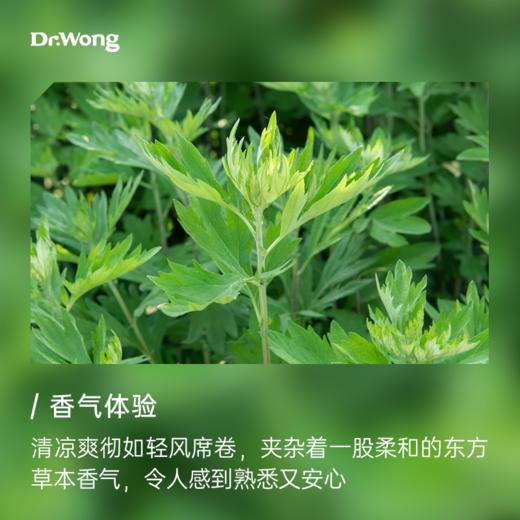 艾草 植物香薰精油 商品图1