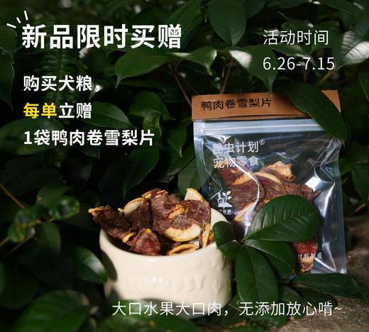昆虫蛋白全价犬粮（狗粮） | 公平贸易*Insect protein full price dog food| Fair Trade 商品图1