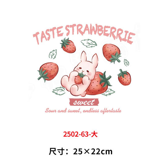 儿童卡通烫画小马蝴蝶兔子水果草莓DIY热转印白墨烫画贴 商品图5