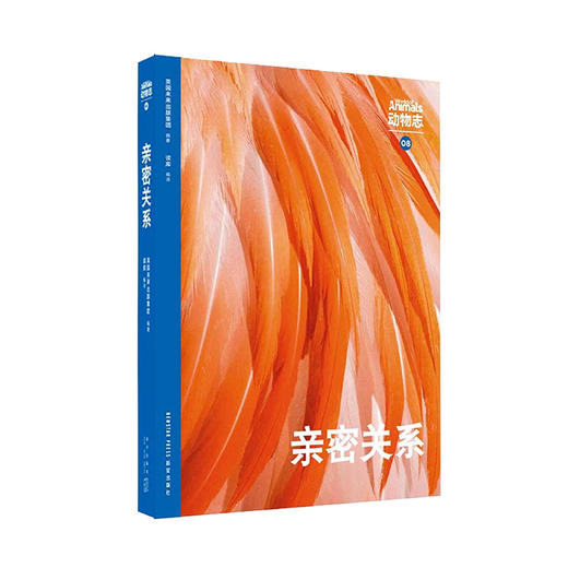 动物志·第二辑《亲密关系》《风采亚洲》《比人更聪明》《极致绚烂》纸上动物世界 万物有灵 生生不息  读库 商品图1