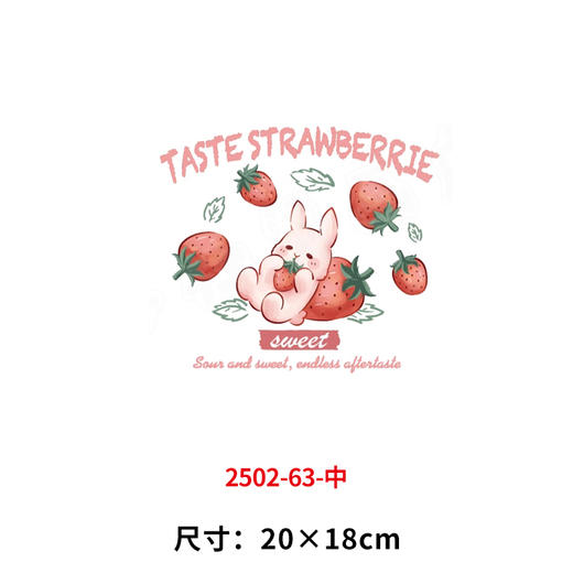 儿童卡通烫画小马蝴蝶兔子水果草莓DIY热转印白墨烫画贴 商品图4