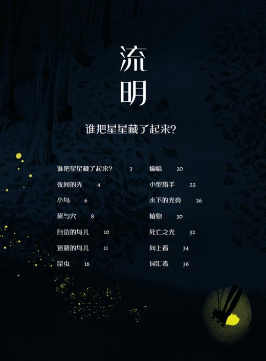 《流明：谁把星星藏了起来？》 商品图4