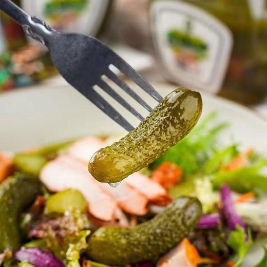 林道斯俄瓦斯号俄式乳黄瓜 商品图2