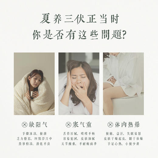 💰49🉐30贴💥 后辰新款三伏贴10贴/盒 商品图3