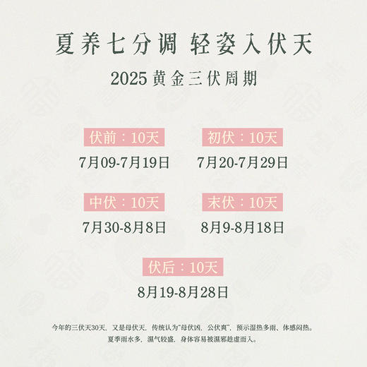 💰49🉐30贴💥 后辰新款三伏贴10贴/盒 商品图4