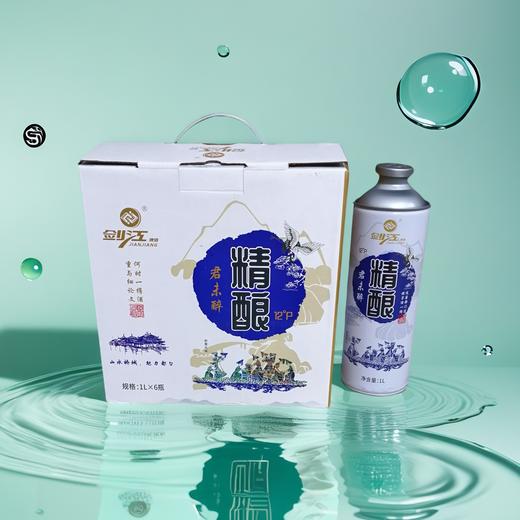 剑江啤酒精酿12度1L 商品图2