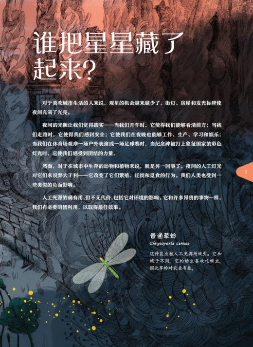 《流明：谁把星星藏了起来？》 商品图6