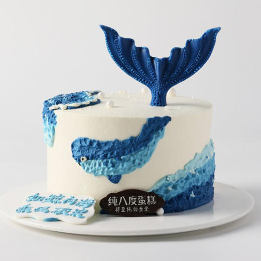 乘风鲸翼 商品图1