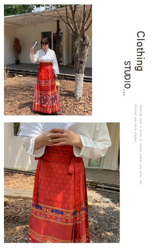 已停发，预计3.4日发【诗铭洛可】（凤舞九天）W1059马面裙 商品图3