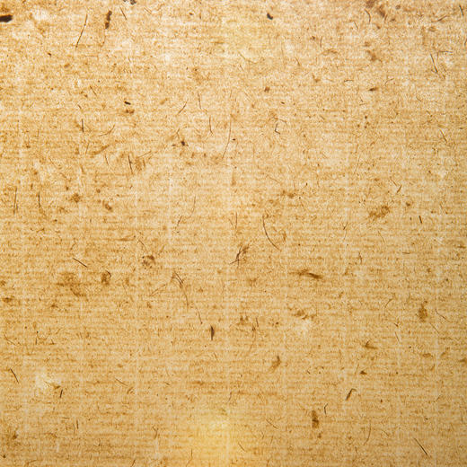 50-60年代合作社生产老竹纸两卷（163张） 商品图8