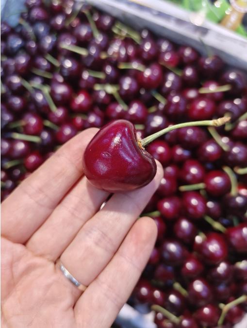 美早樱桃一斤 商品图1