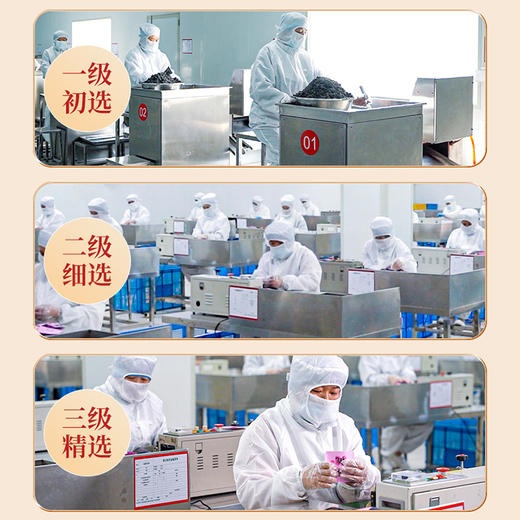 五指毛桃藿香茶（仅到兴华社卫使用） 商品图7