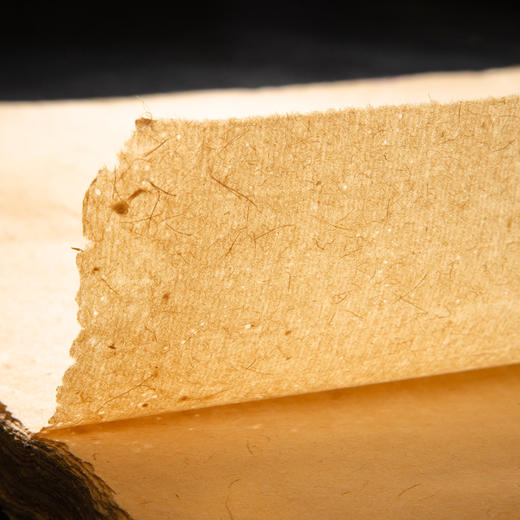 50-60年代合作社生产老竹纸两卷（160张） 商品图6