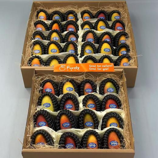 海南树熟18°「小贵妃芒」整件 约2~2.1kg 商品图10