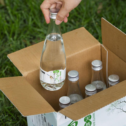 热卖！“液体黄金”！白桦依然NFC白桦树汁 330ml*6瓶 商品图5