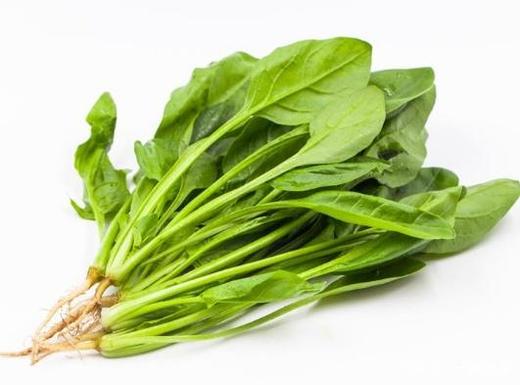 精选菠菜约250g 商品图0