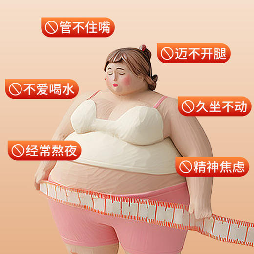 荷叶乌梅茶（仅到兴华社卫使用） 商品图5