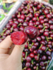 美早樱桃一斤 商品缩略图2