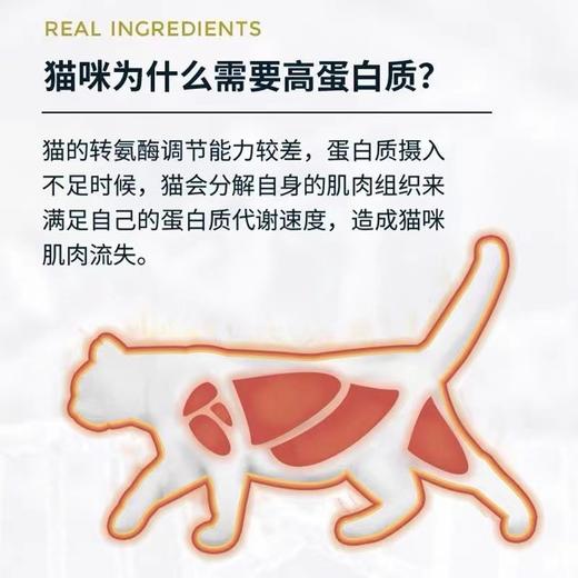 诚实一口猫粮P40成猫幼猫全价猫粮营养增肥猫咪试吃专用猫粮 1.5kg 商品图2