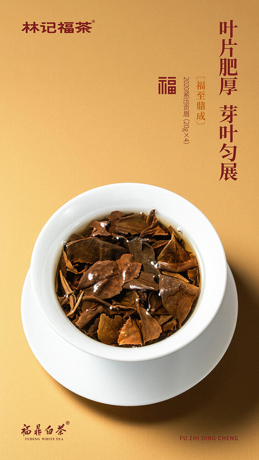 福至鼎成·撬片紧压牡丹/寿眉2017/紧压贡眉2020·礼盒装200g 商品图8