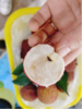无核荔枝一框 商品缩略图2