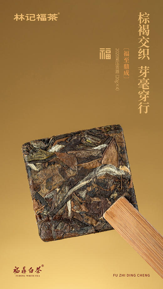 福至鼎成·撬片紧压牡丹/寿眉2017/紧压贡眉2020·礼盒装200g 商品图10