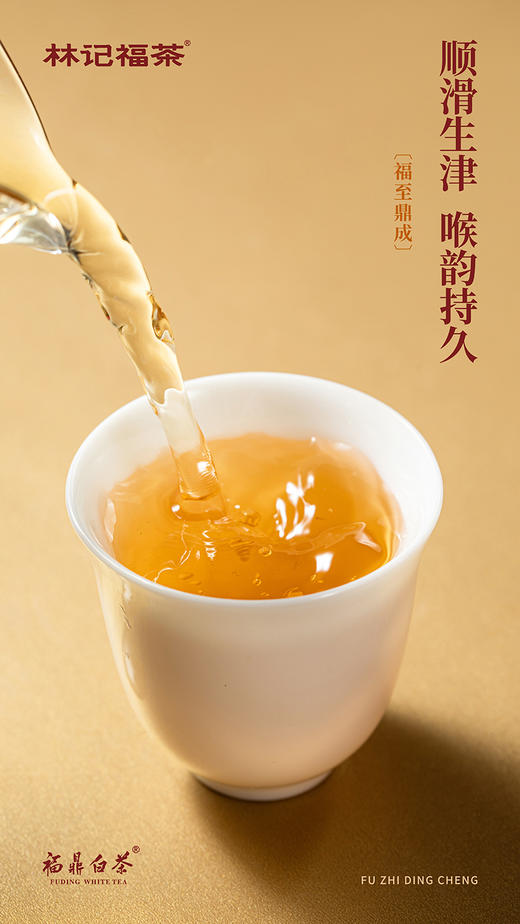 福至鼎成·撬片紧压牡丹/寿眉2017/紧压贡眉2020·礼盒装200g 商品图9