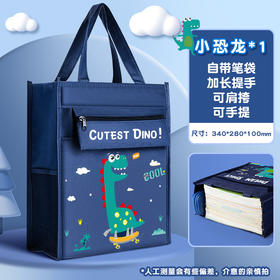 小学生书包补习袋笔袋帆布收纳文件袋（恐龙图案随机）简约帆布包/个
