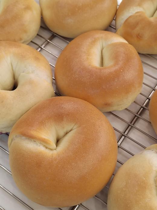 蓝莓乳酪贝果 商品图0