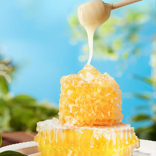 俄罗斯进口蜜风港牌椴树蜂蜜1.25kg 商品图4