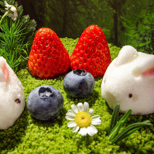 【春天兔兔】草莓希腊酸奶 商品图2