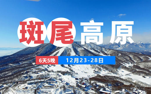 【圣诞】12月23日~12月28日 长野斑尾晚餐/雪票 商品图0
