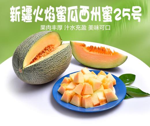 【臻选好果】吐鲁番西州蜜25号哈密瓜（8斤2-3个瓜）  顺丰发货 产地吐鲁番 商品图1