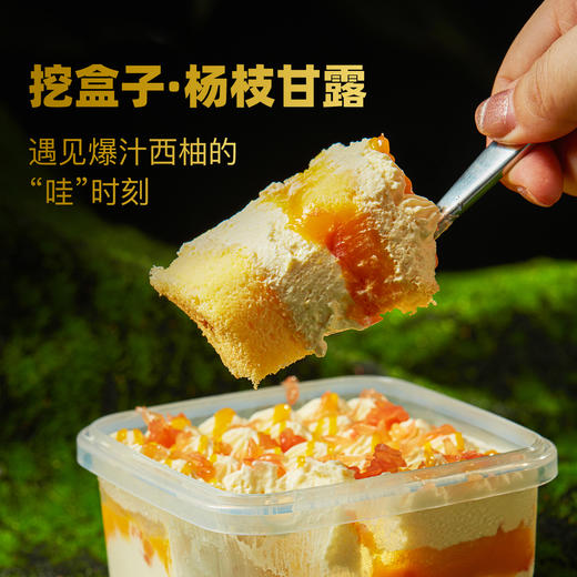 【非卖品】挖盒子蛋糕赠品1罐（口味随机） 商品图1